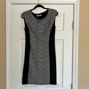 Loft Sleeveless Dress.